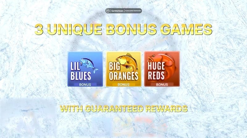 Ice Fishing Live beste Seiten zum Spielen – Was Spieler bei der Suche nach dem richtigen Anbieter erleben